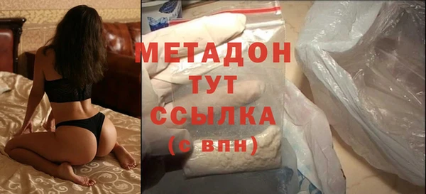 индика Богородицк