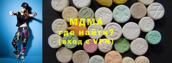 индика Богородицк