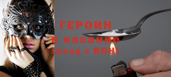 индика Богородицк