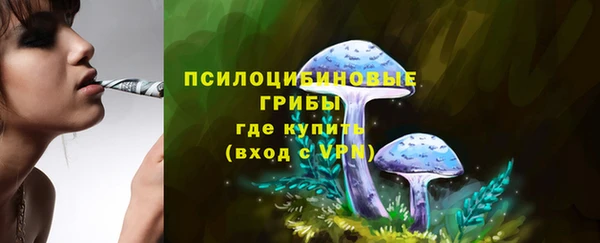 индика Богородицк