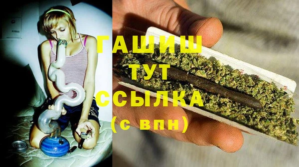 индика Богородицк