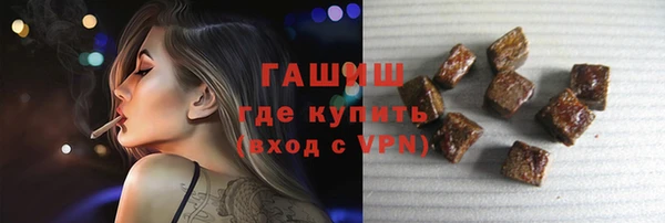 индика Богородицк
