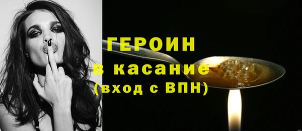 индика Богородицк