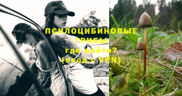индика Богородицк