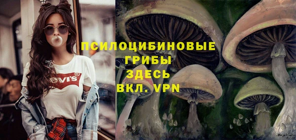 индика Богородицк