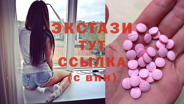 индика Богородицк