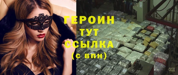 индика Богородицк