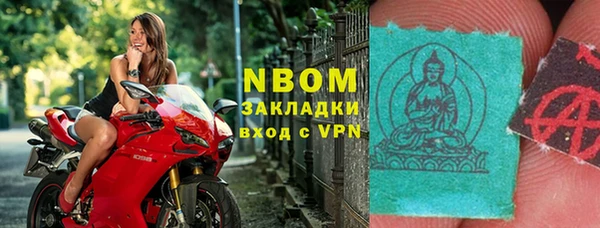 индика Богородицк
