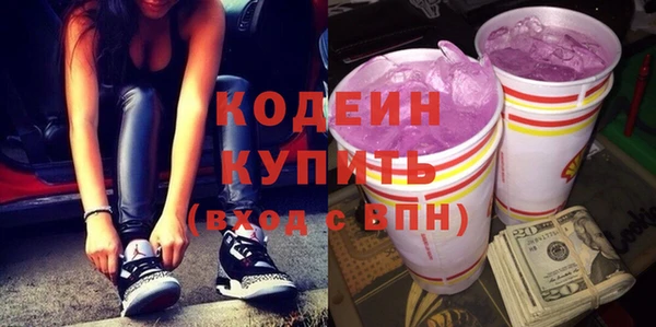 индика Богородицк