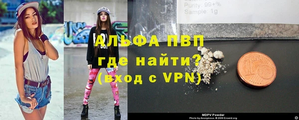 индика Богородицк