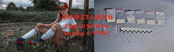 индика Богородицк