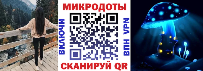 кракен как зайти  где найти наркотики  Елизаветинская  Галлюциногенные грибы Cubensis 