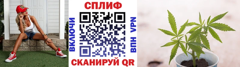 Марихуана Bruce Banner Елизаветинская